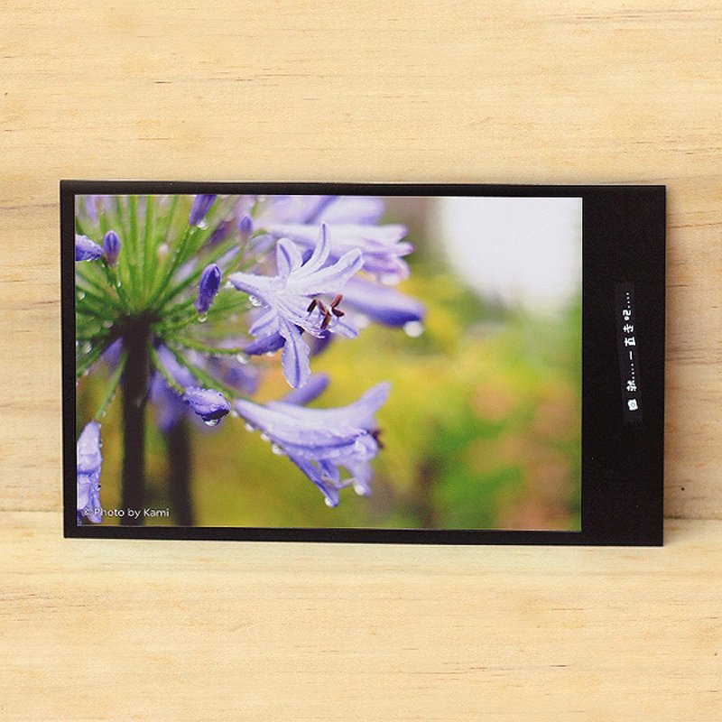 手工限量明信片-紫色的花2/台湾小物摄影 - 卡片/明信片 - 纸 多色