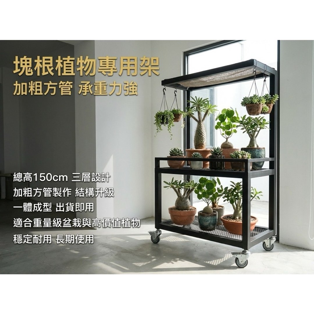 块根植物架 加粗方管铁制一体成型 菱格网植物架 花架 工业风 - 植栽/盆栽 - 其他金属 黑色
