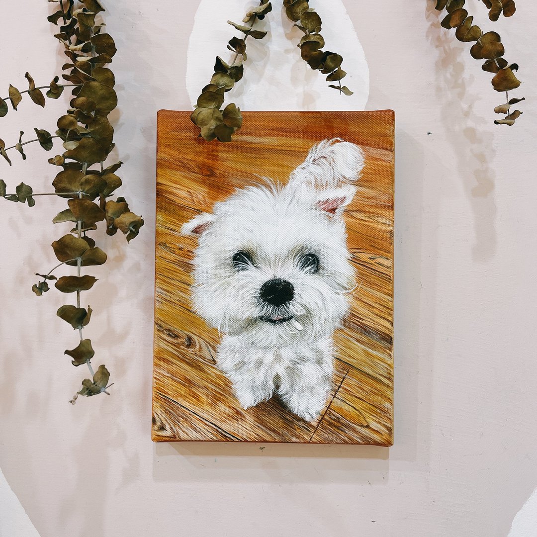 定制宠物画 毛小孩 猫 兔子  细致写实油画风手绘 生日礼物 礼物 - 海报/装饰画/版画 - 棉 