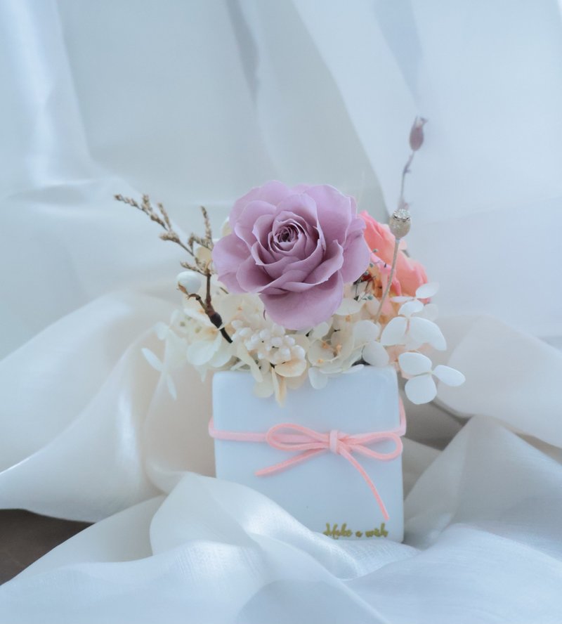 永生小盆花(小桌花) - 干燥花/捧花 - 植物．花 