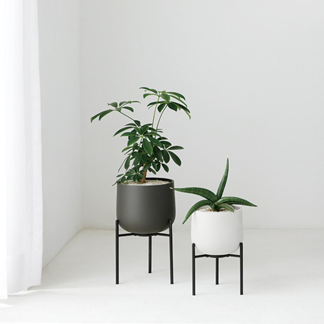 日本KINTO PLANT POT 211 附架陶瓷花盆13.5cm/共2色 - 植栽/盆栽 - 其他材质 透明