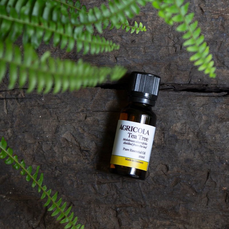 茶树精油 - 德国原装进口 纯植物萃取天然扩香 - 香薰/精油/线香 - 精油 黄色