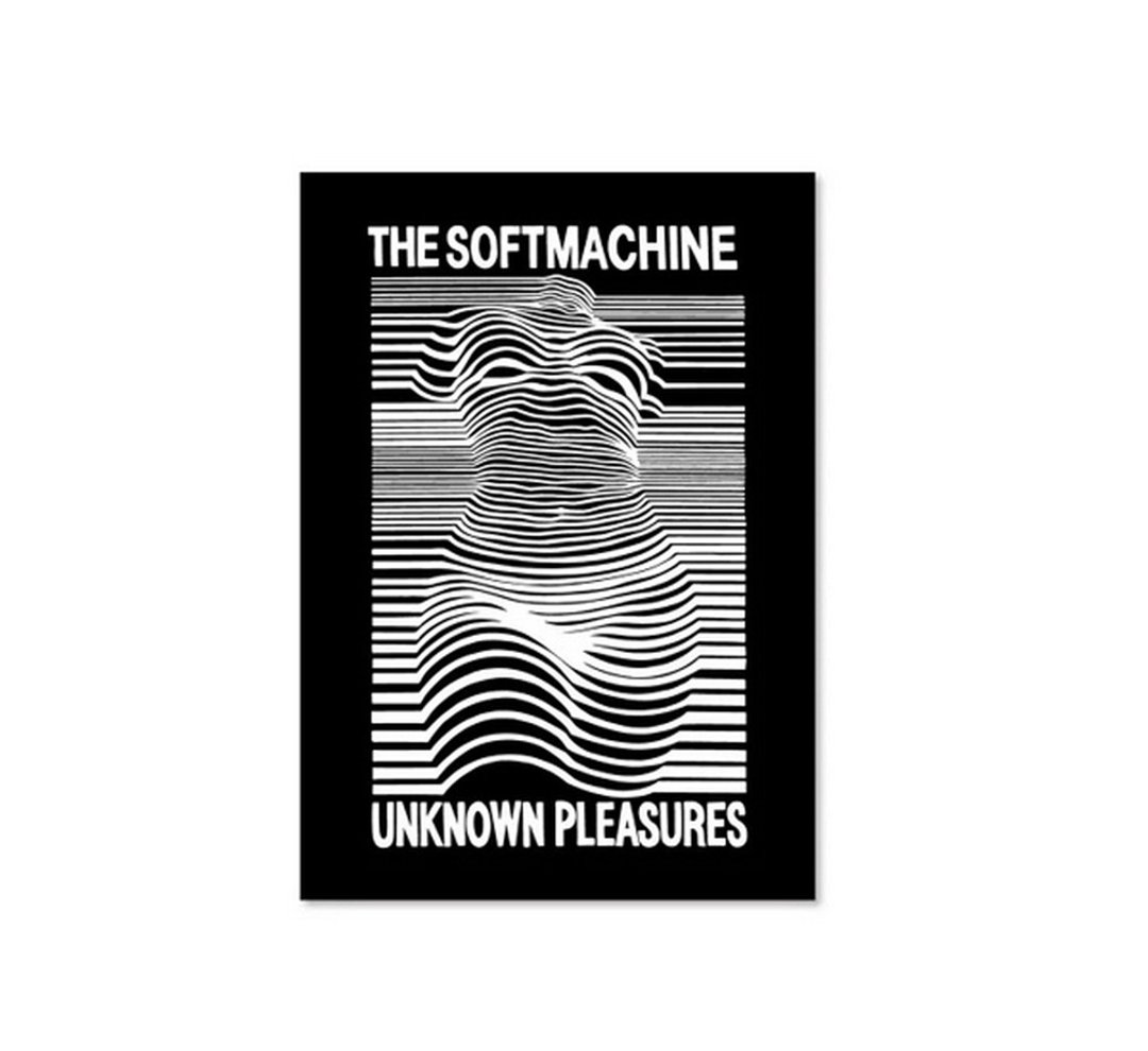 Softmachine Pleasures Poster欢乐分队翻玩女体曲线海报 - 海报/装饰画/版画 - 其他材质 多色