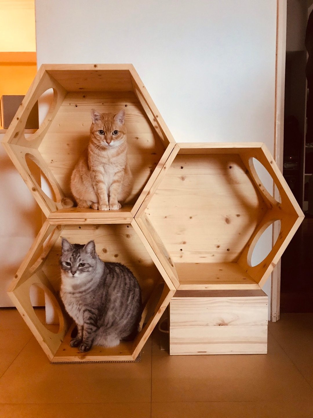 蜂巢壁挂宠物猫跳台/宠物箱/实木未涂装/猫咪专用/**售价为单售** - 抓板/跳台 - 木头 