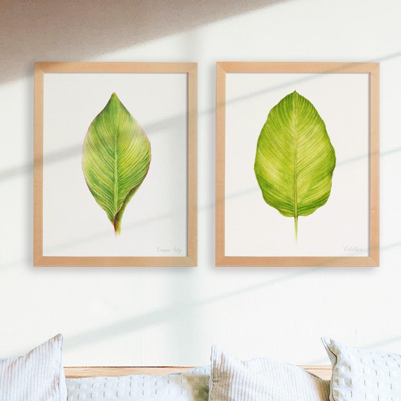 植物的静默 卧房餐厅挂画 植物水彩复制画 清新治愈绿色装饰画 - 海报/装饰画/版画 - 纸 多色