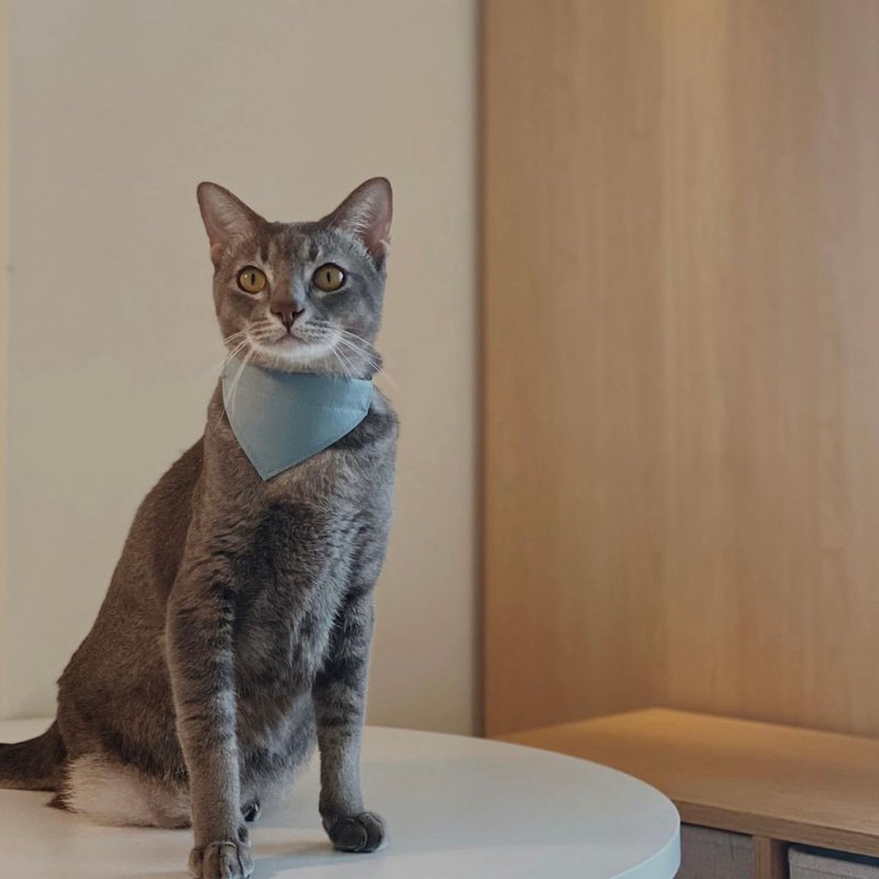 简约手工定制猫咪项圈 | Khaki Brown Bandana Cat Collar - 项圈/牵绳 - 棉．麻 蓝色