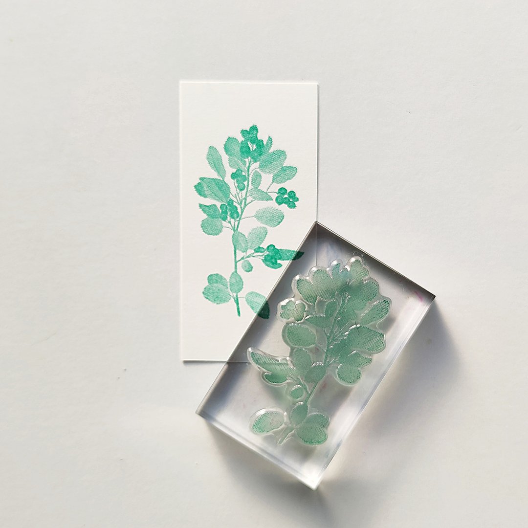 Biology Stamp 六月浆果 - 印章/印台 - 树脂 透明