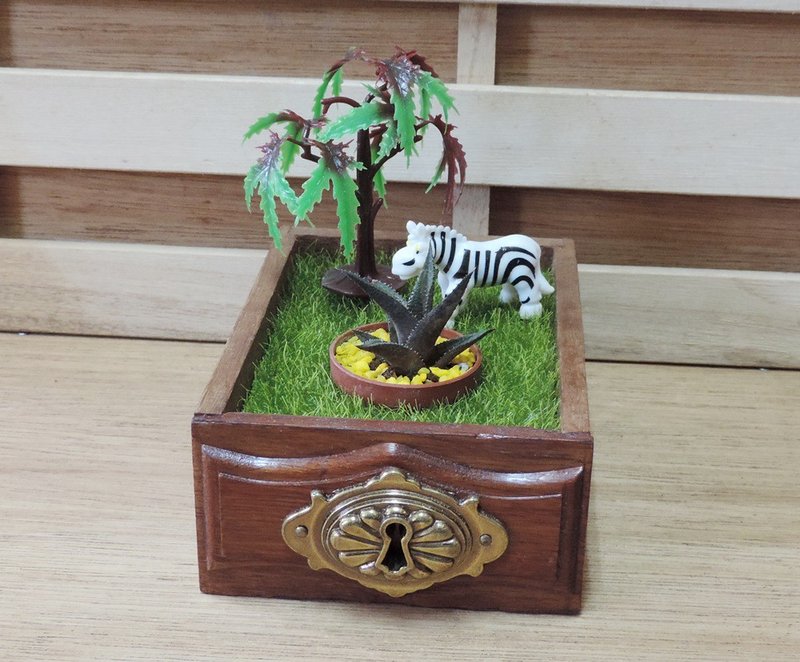 抽屉里的秘密花园 · 多肉植物【限量贩售】 - 植栽/盆栽 - 其他材质 