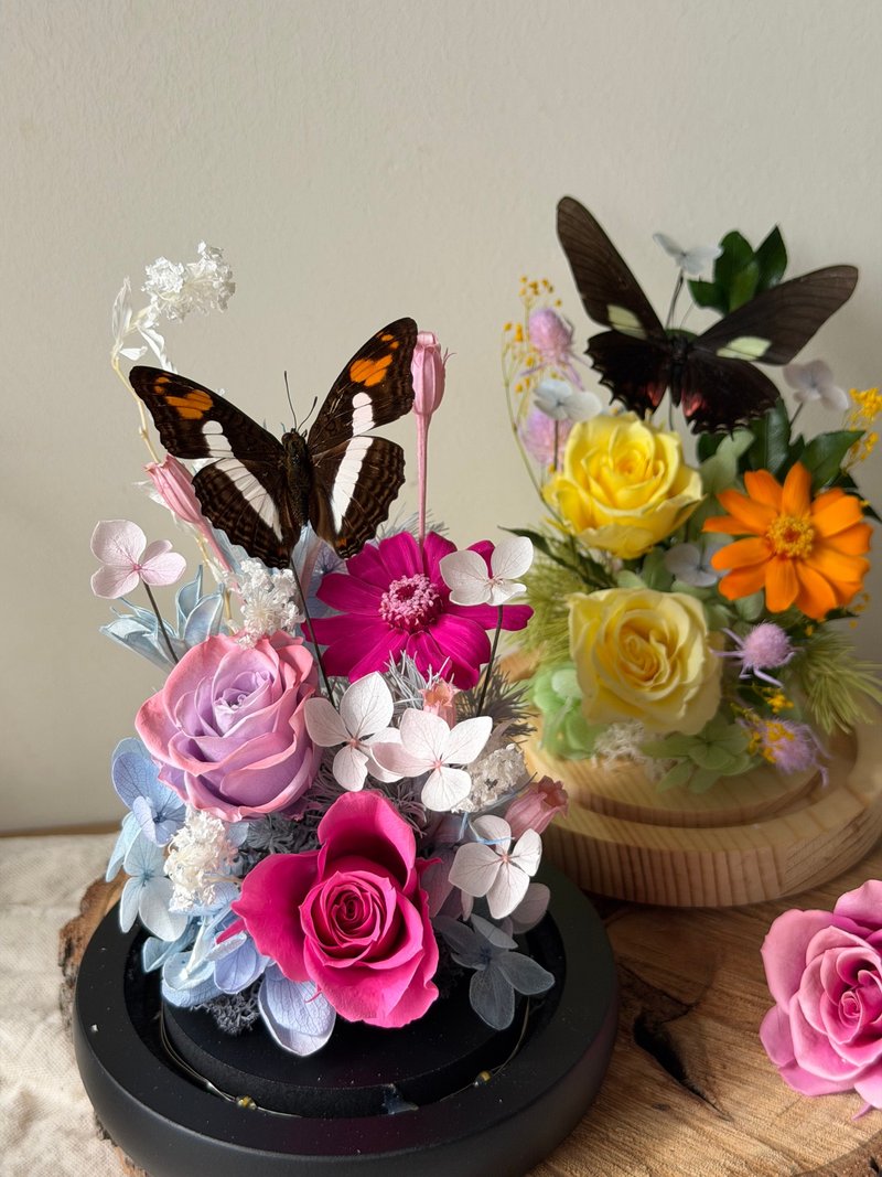 春庭永生玫瑰 蝴蝶玻璃盅 -荣退礼/情人节/订婚/纪念/入厝/生日 - 干燥花/捧花 - 植物．花 多色