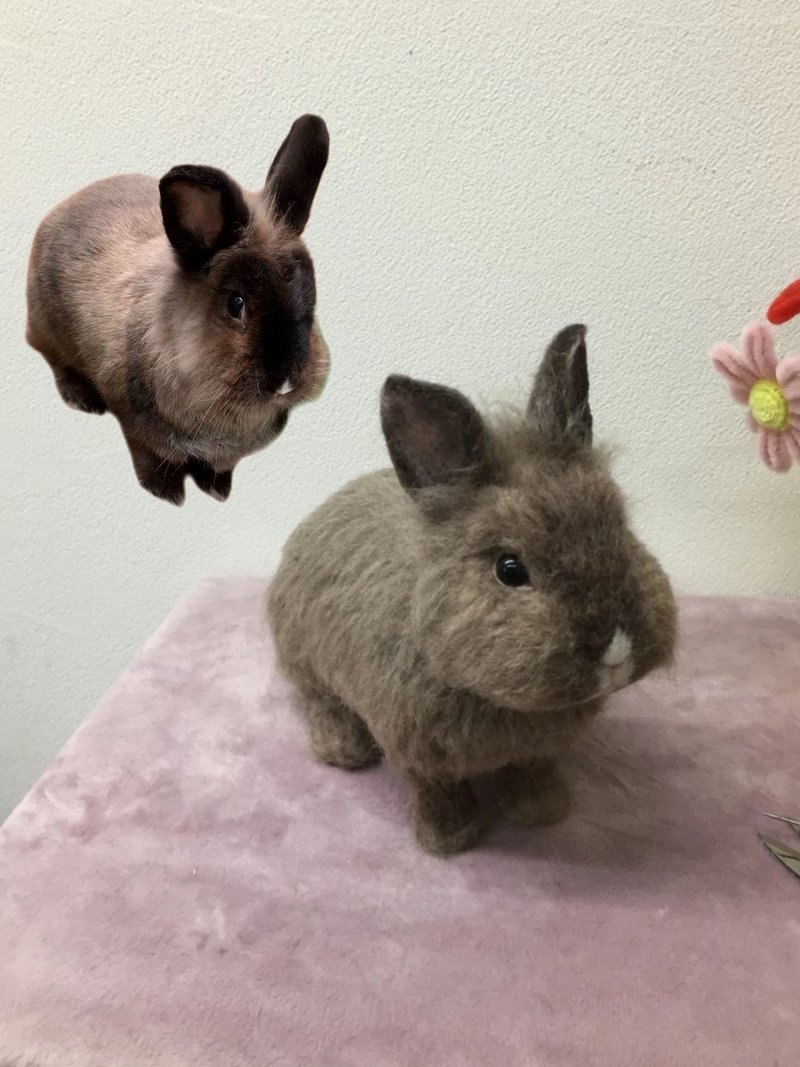 客制化逼真兔子 羊毛毡 宠物 娃娃 定制 手工 兔兔 毛孩子 268 - 玩具 - 羊毛 多色