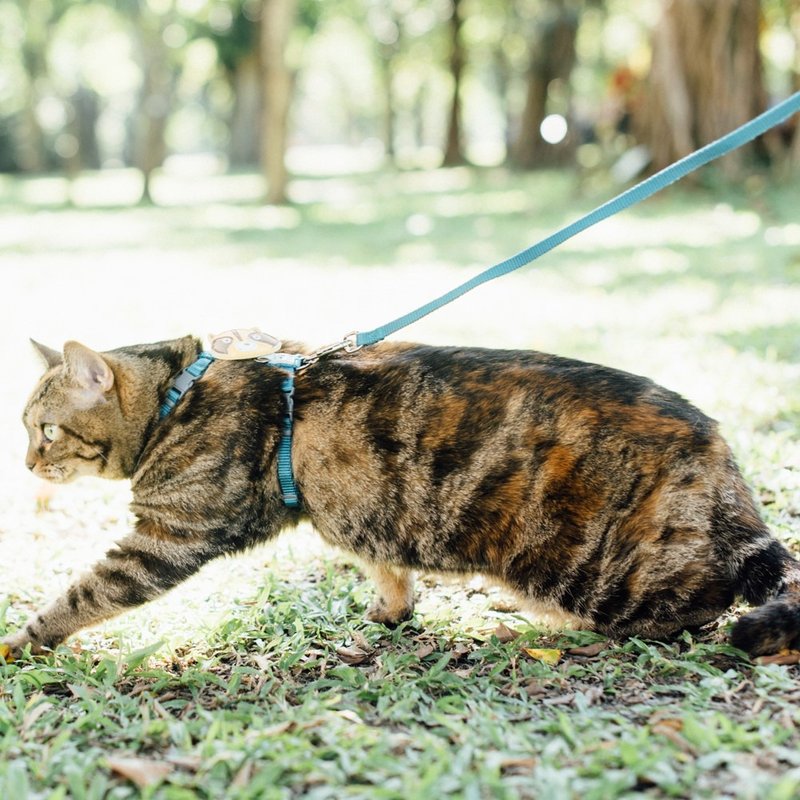 【tails&me 尾巴与我】经典尼龙带 猫系列 猫牵绳(多色) - 项圈/牵绳 - 尼龙 多色