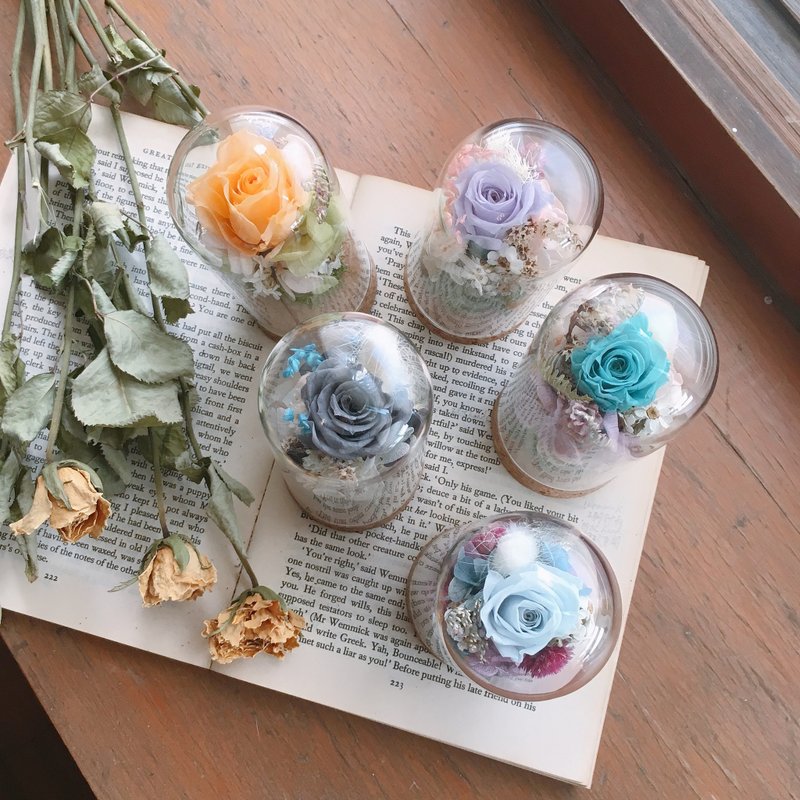 | 定制化礼物 | - 永生花试管玻璃 - 纪念礼 生日礼物 情人节礼盒 - 其他 - 植物．花 多色