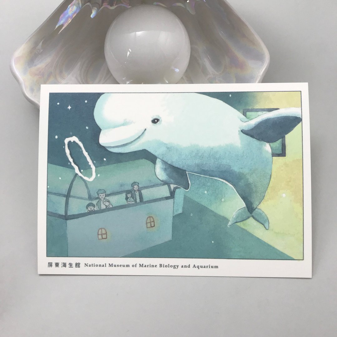 海生馆小白鲸 - 明信片 - 卡片/明信片 - 纸 蓝色