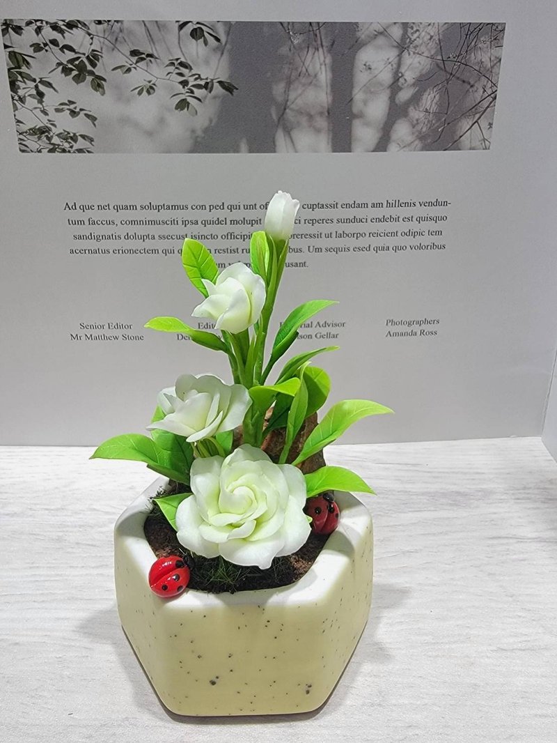 冷瓷土/黏土花艺-栀子花小盆栽 - 植栽/盆栽 - 粘土 