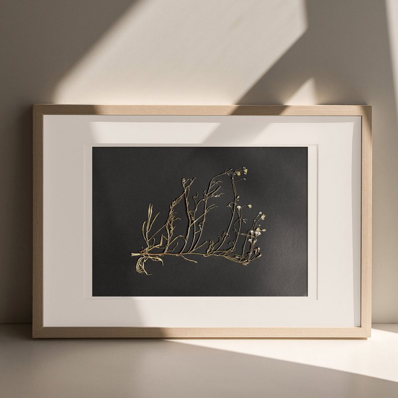 横向干燥野花植物简约黑色原创艺术品墙面装饰 - 墙贴/壁贴 - 纸 黑色