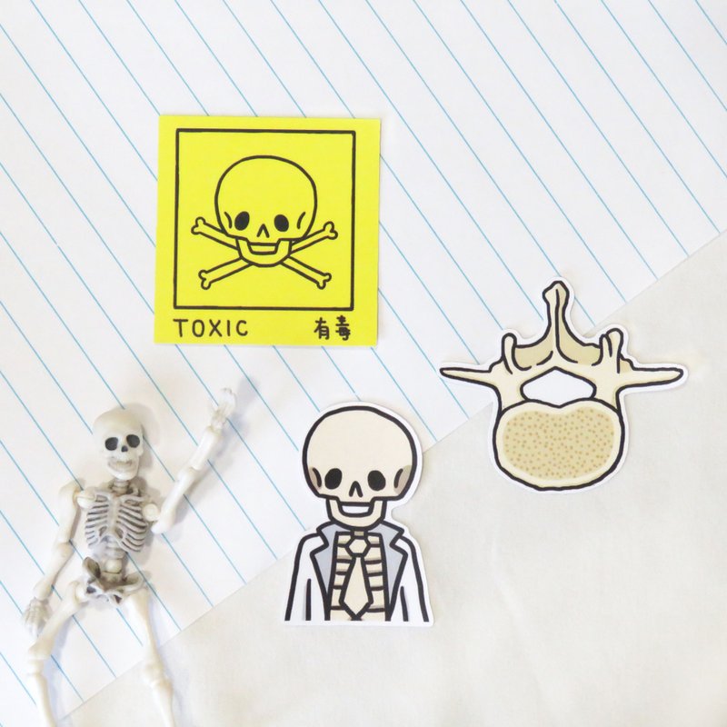 阿古 骨头 贴纸 / 生物学 器官 解剖 - 贴纸 - 防水材质 红色