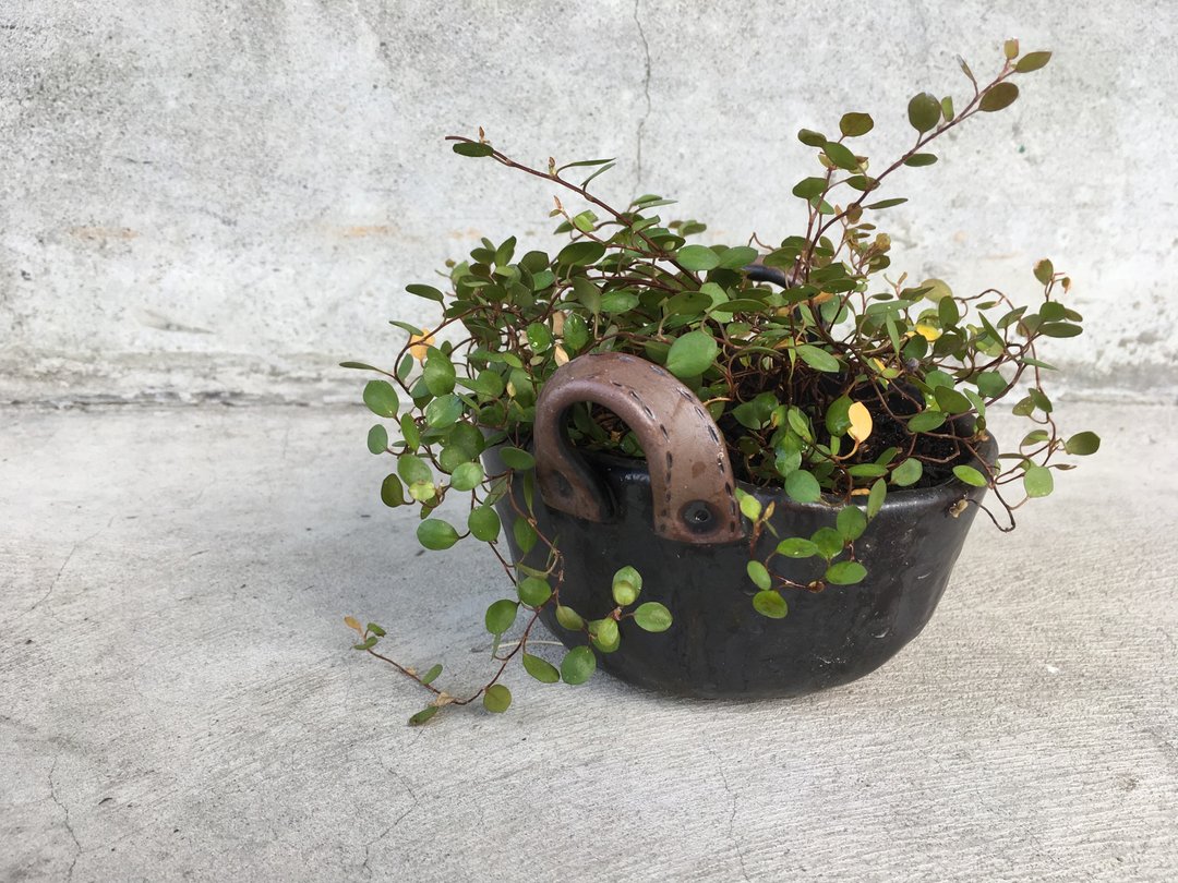 给李x圆的手捏提篮花器-无洞 - 植栽/盆栽 - 陶 黑色