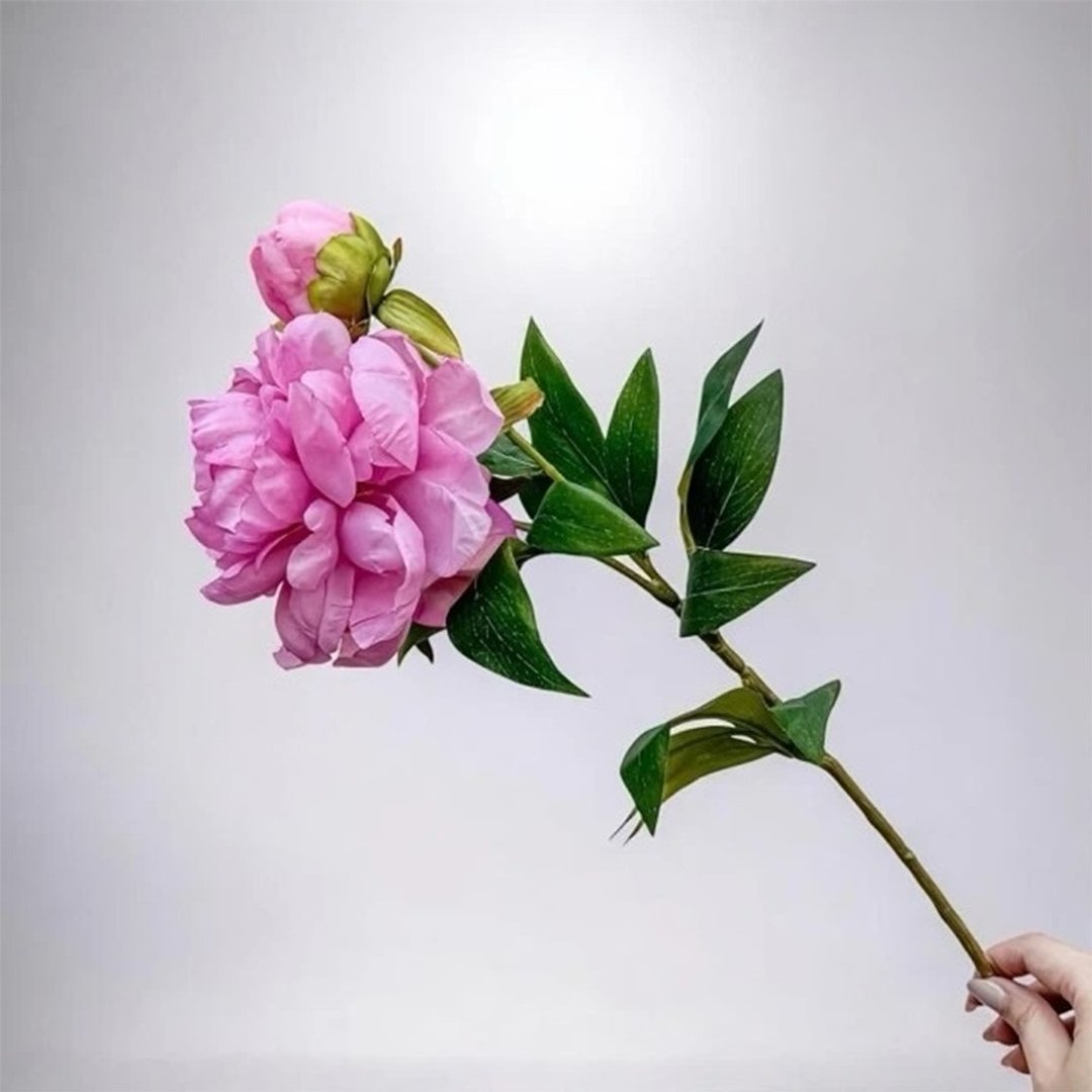 最高级的浪漫珊瑚粉公主芍药仿真花花材(1入组) - 摆饰 - 塑料 黄色