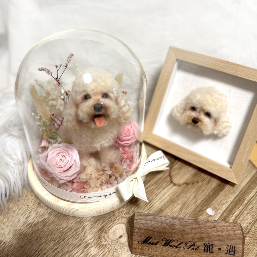 羊毛毡定制化宠物 | 贵妇犬贵宾犬 | 仿真拟真狗狗包玻璃罩 | 生日礼物 - 玩偶/公仔 - 羊毛 