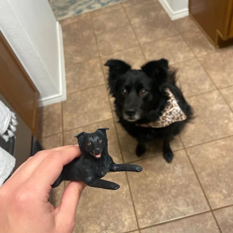 纯手工定制3D宠物艺术娃娃 订制狗狗猫咪毛小孩似颜绘肖像画公仔 - 玩偶/公仔 - 粘土 多色