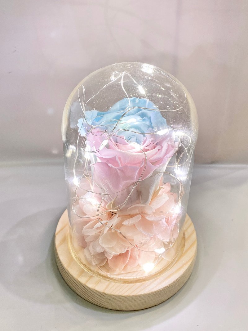 不凋花玫瑰 永生花玻璃盅 有灯款 - 干燥花/捧花 - 植物．花 多色