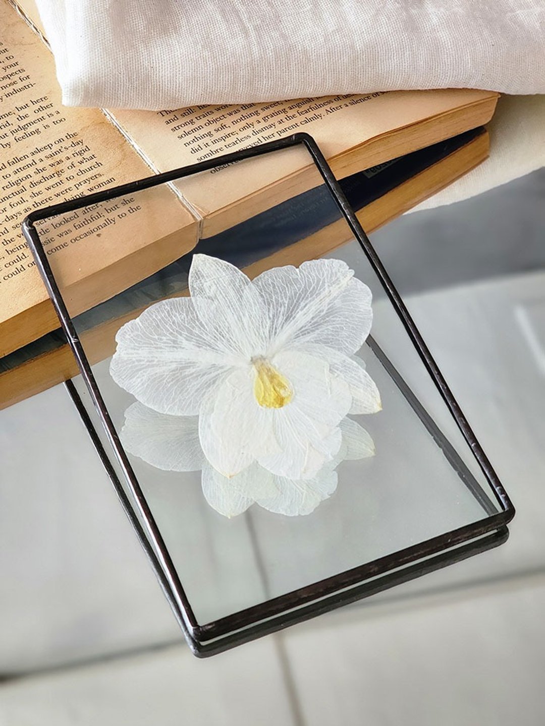 植物图鉴∣嘉德丽雅兰∣玻璃镶崁∣花草标本 - 书签 - 植物．花 白色
