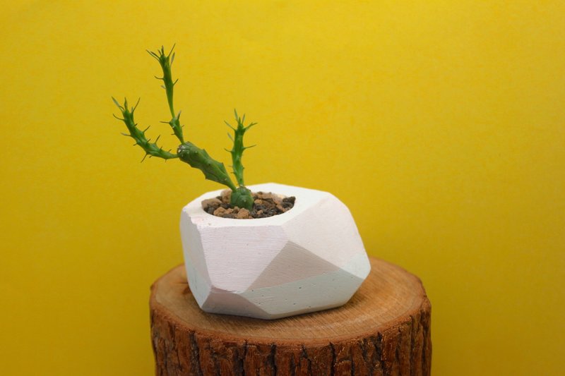 〖秋鱼手作工坊 〗 水泥植栽×多肉植物 ＿长方几何 ░ 浅粉红 浅粉绿 ░ - 植栽/盆栽 - 水泥 粉红色