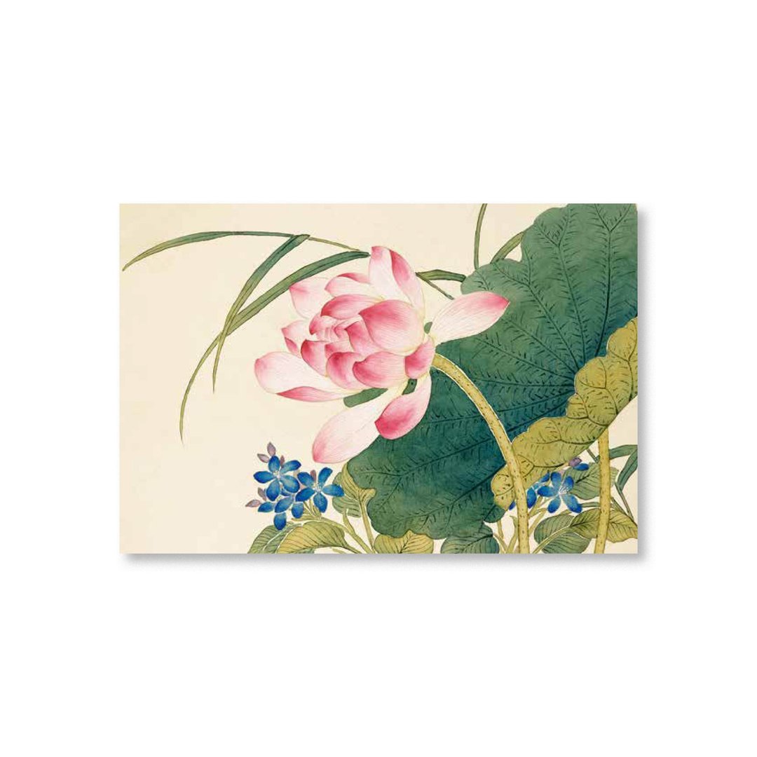 【明信片・Postcard】沈振麟・十二月花神 莲花 - 卡片/明信片 - 纸 卡其色