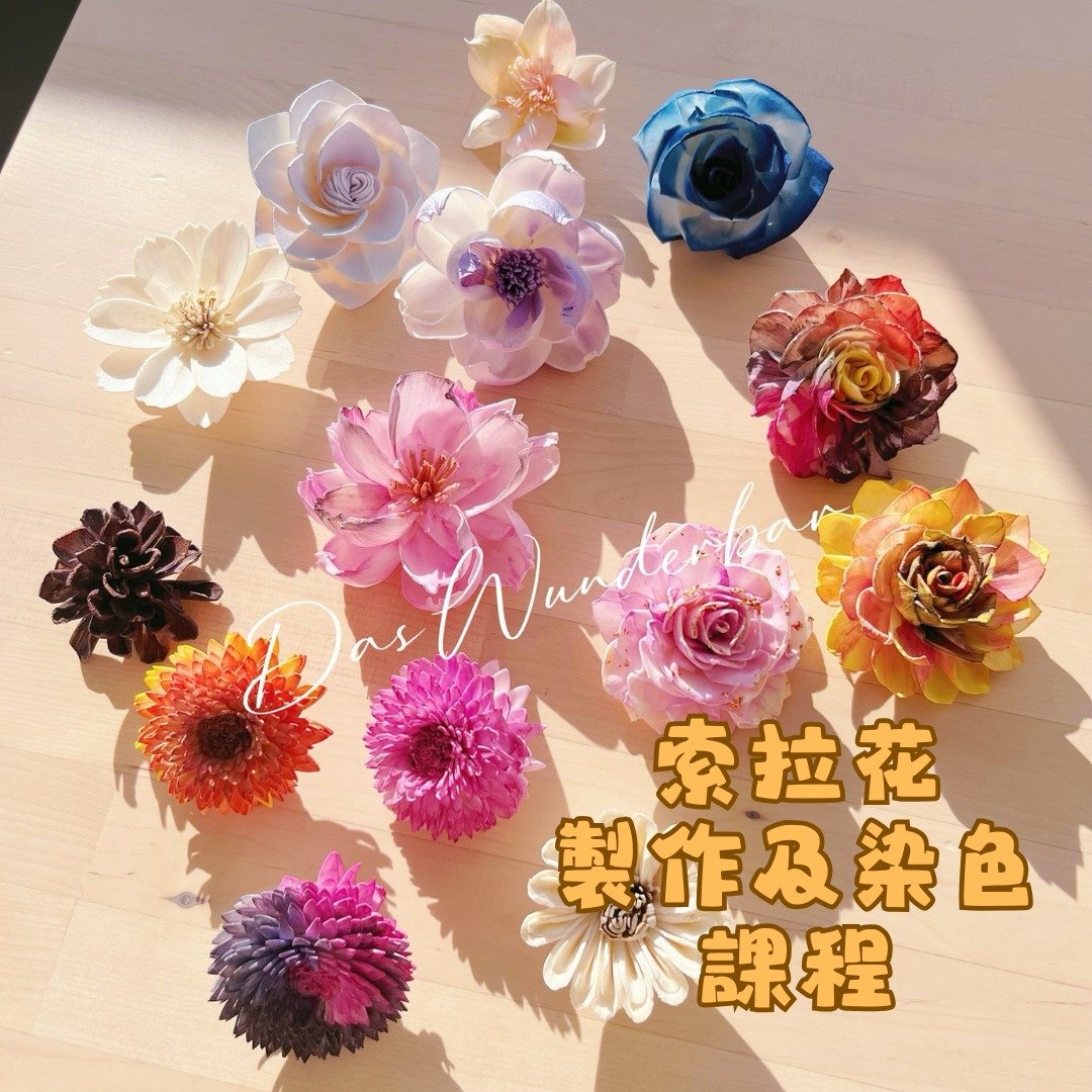 【香港花艺工作室】索拉花制作及染色课程 (可衔接证书课程) - 植栽 - 植物．花 