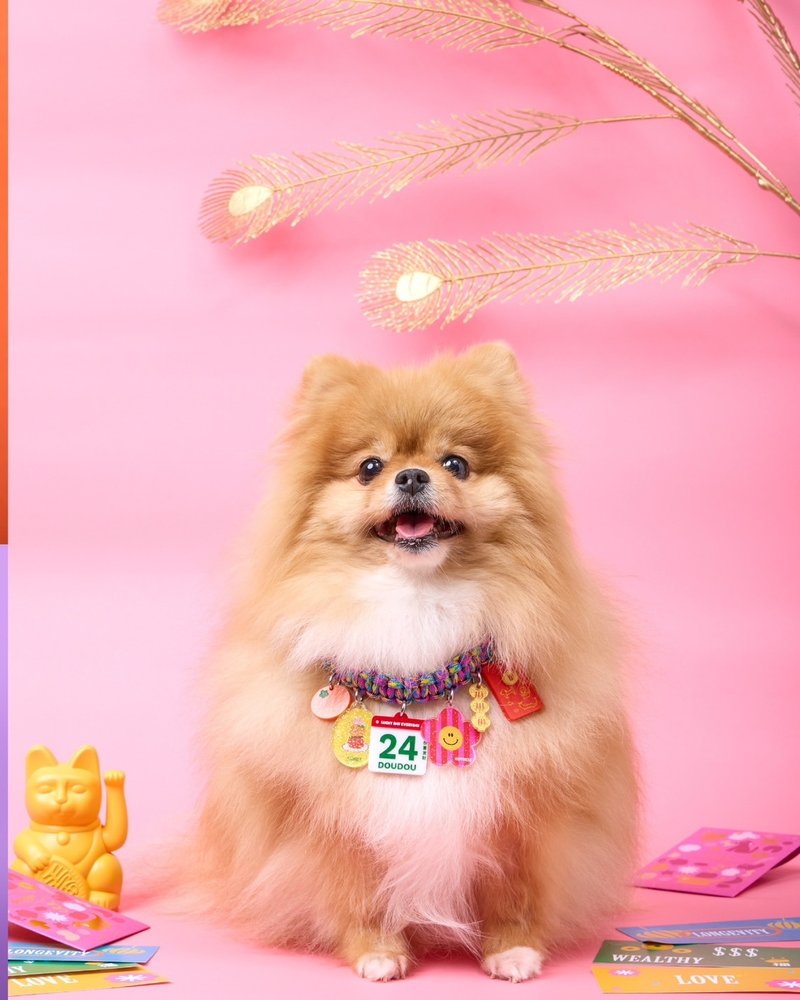 Doggu宠物现成的新年项链 家庭财富 幸福，富裕的家庭。 - 项圈/牵绳 - 聚酯纤维 多色