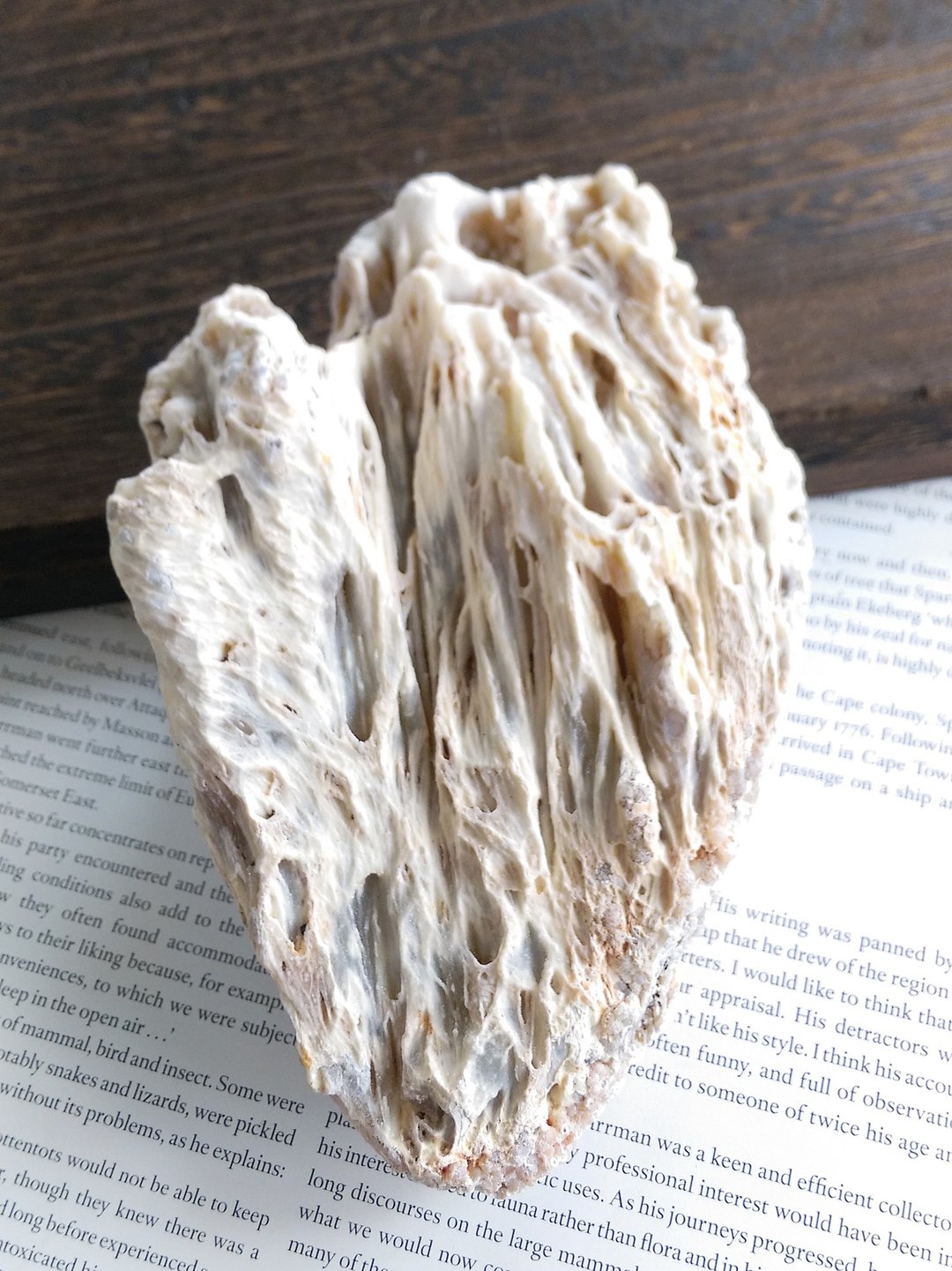 Agate 马达加斯加产地 玛瑙 天然矿石 原矿 - 摆饰 - 其他材质 