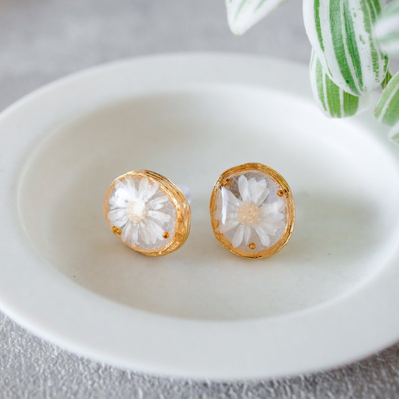 永生花 耳环 星辰花 抗过敏 - 耳环/耳夹 - 树脂 白色