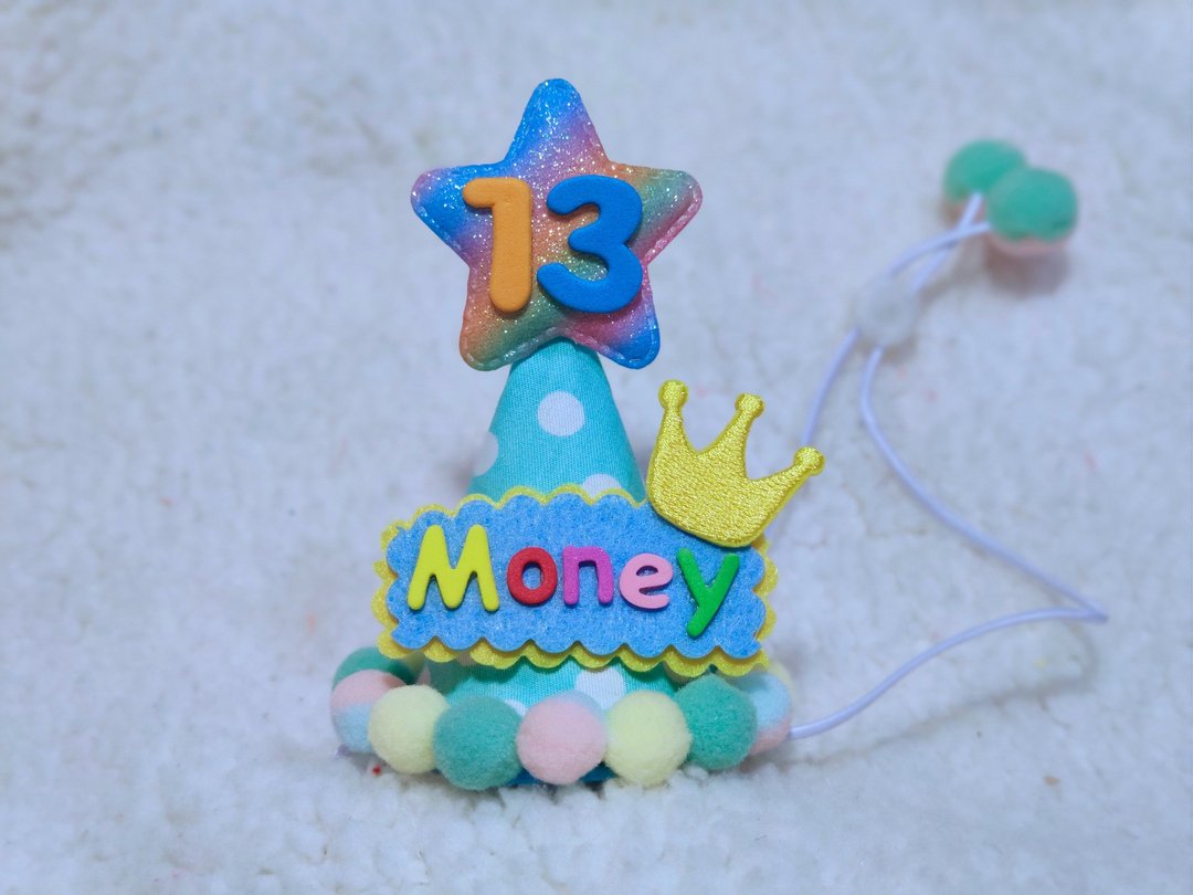 Birthday star 生日之星 宠物生日帽 - 衣/帽 - 棉．麻 白色
