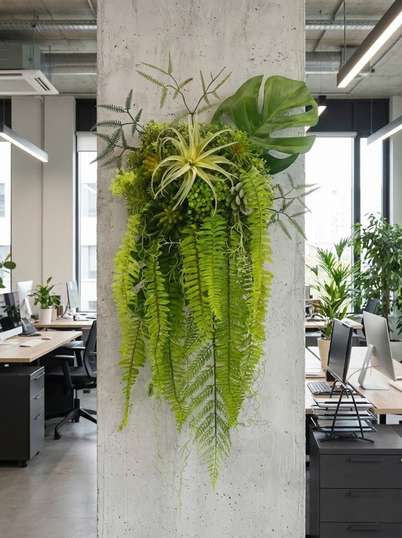 蕨类植物空气凤梨植物框饰/入厝礼/开幕/乔迁/送礼/植栽 - 植栽/盆栽 - 其他材质 绿色