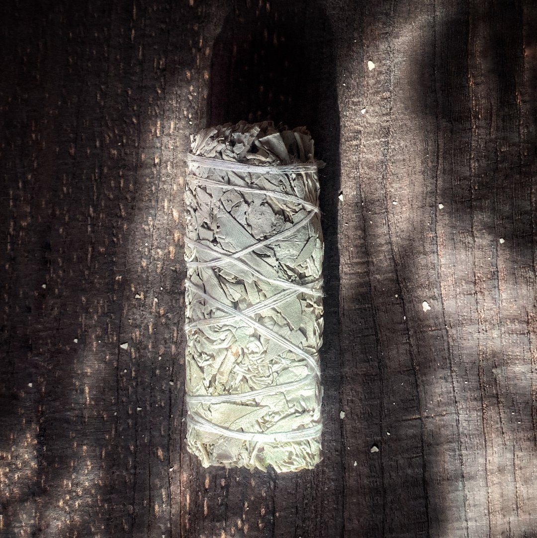 白鼠尾草 (White sage) 净化消磁 独立包装 - 香薰/精油/线香 - 植物．花 白色