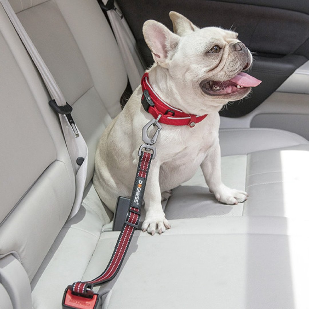 【DOGNESS 多尼斯】宠物汽车安全带 户外用品 宠物 猫 - 项圈/牵绳 - 其他材质 多色