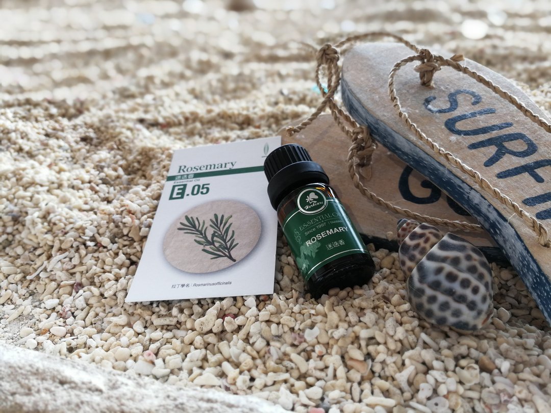 西班牙迷迭香纯精油 10ml 桉油醇迷迭香 100% 天然 有机精油 - 香薰/精油/线香 - 精油 