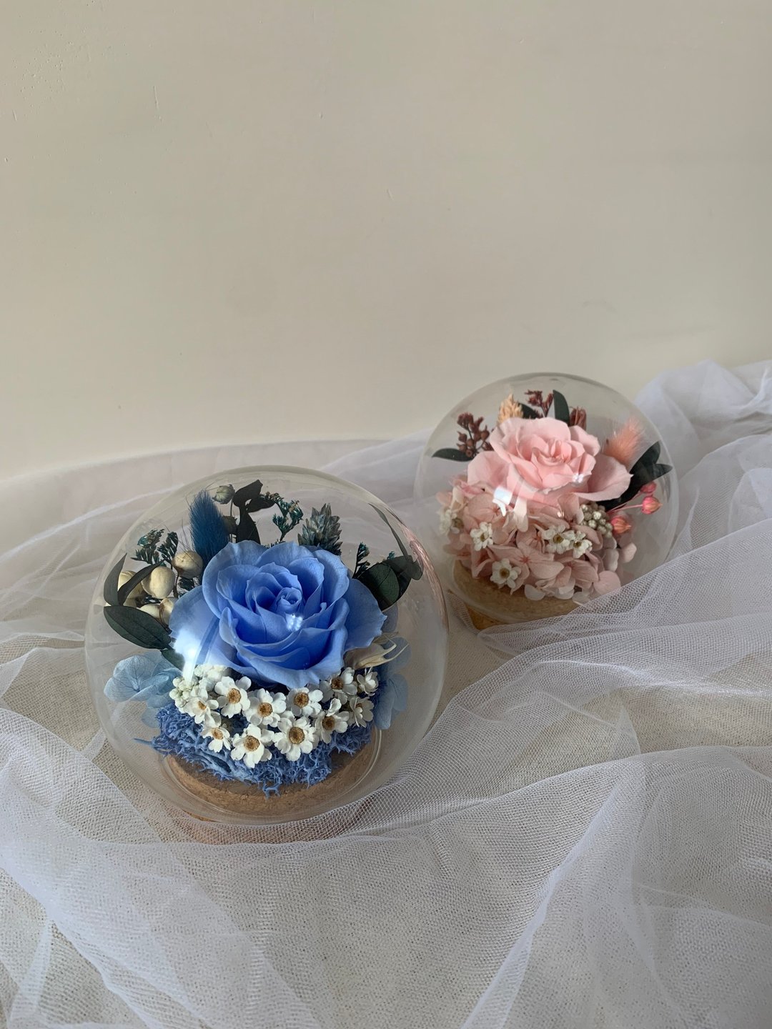 sueing_blossom 永生玫瑰玻璃罩 永生玫瑰 干燥花 永生花 - 干燥花/捧花 - 植物．花 