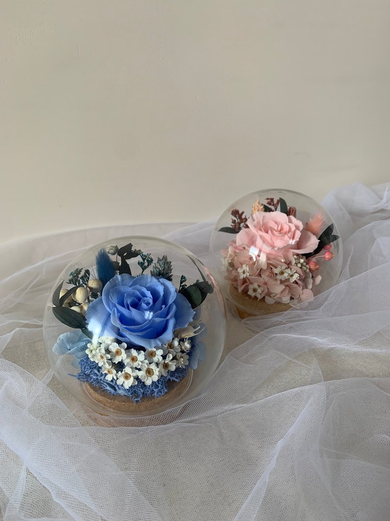 sueing_blossom 永生玫瑰玻璃罩 永生玫瑰 干燥花 永生花 - 干燥花/捧花 - 植物．花 