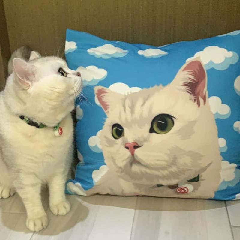 定制化宠物似颜绘方形Cushion咕𠱸 来图订制咕臣 抱枕 - 枕头/抱枕 - 其他材质 