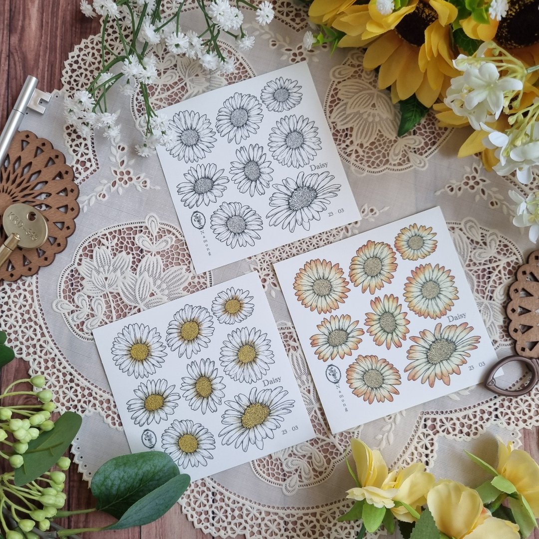 花 - 雏菊 - 贴纸 - 纸 