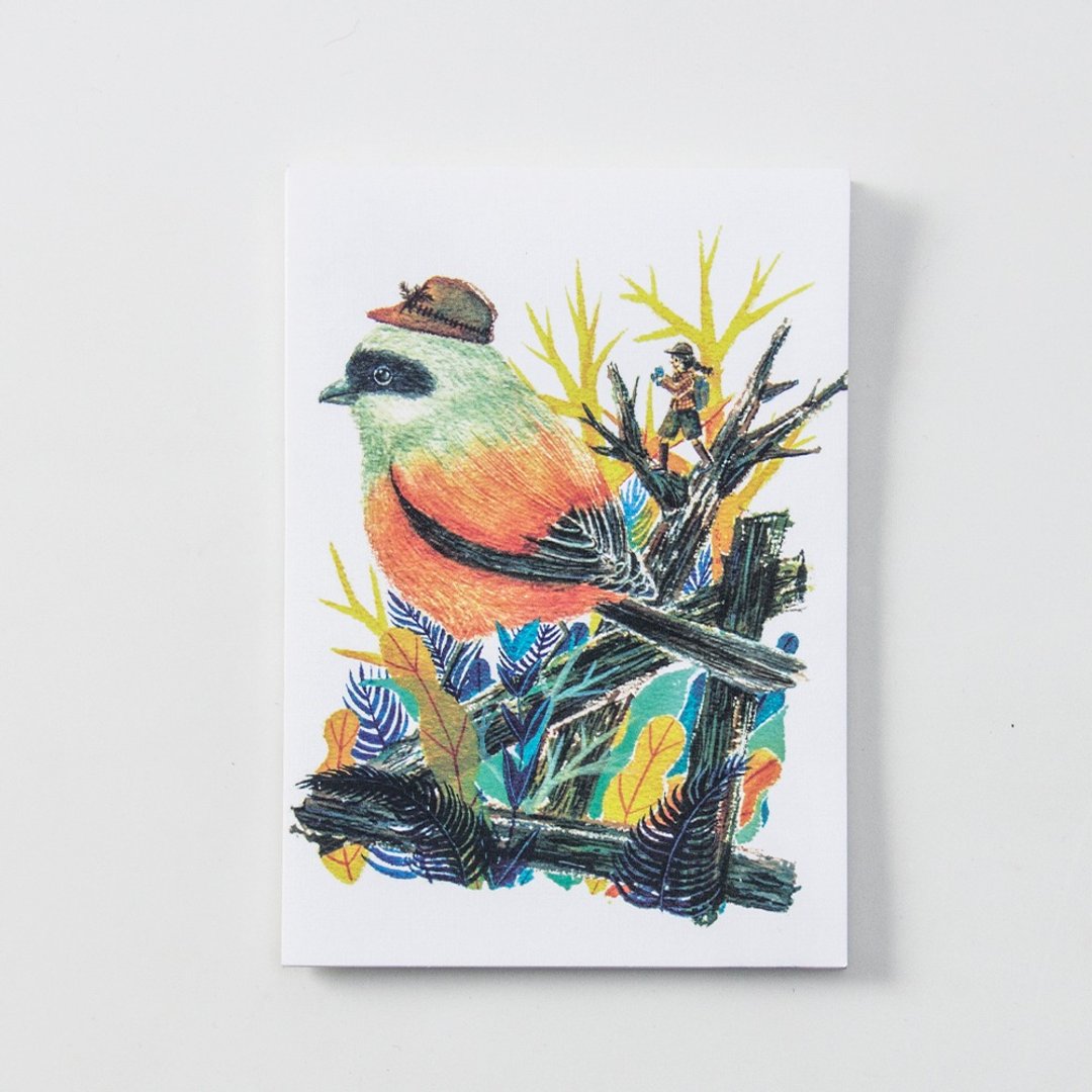BIRDER系列 - Black-headed Shrike - 卡片/明信片 - 纸 白色
