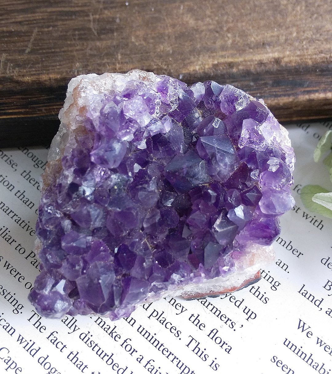 Amethyst 巴西产地 原皮紫水晶  晶簇 天然矿石 原矿 - 摆饰 - 其他材质 