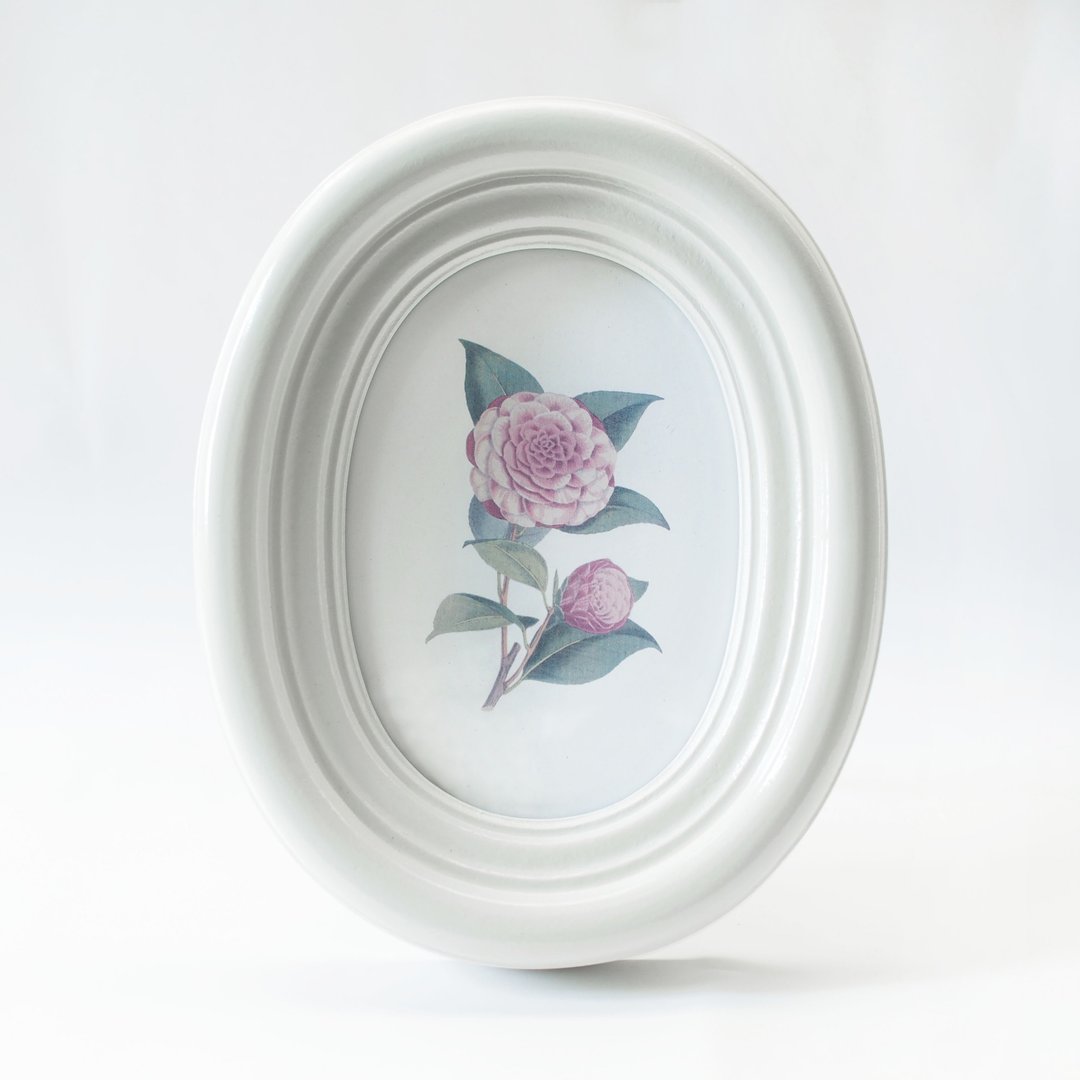 椭圆形 5x7 椭圆形相框，莲花边，白，漆面，桌面/壁挂。 - 画框/相框 - 木头 白色