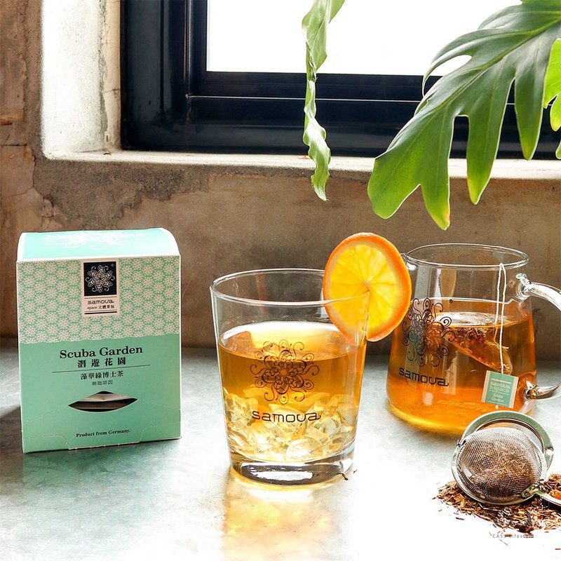 【Space 三角立体茶包】无咖啡因 藻华绿博士茶 潜游花园 | 10入 - 茶 - 植物．花 绿色