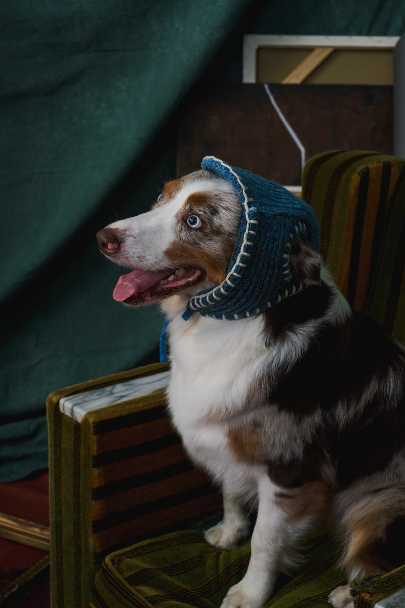 MULTI LAB - 401RWS羊毛混纱手绣狗狗飞行帽 - 衣/帽 - 羊毛 蓝色