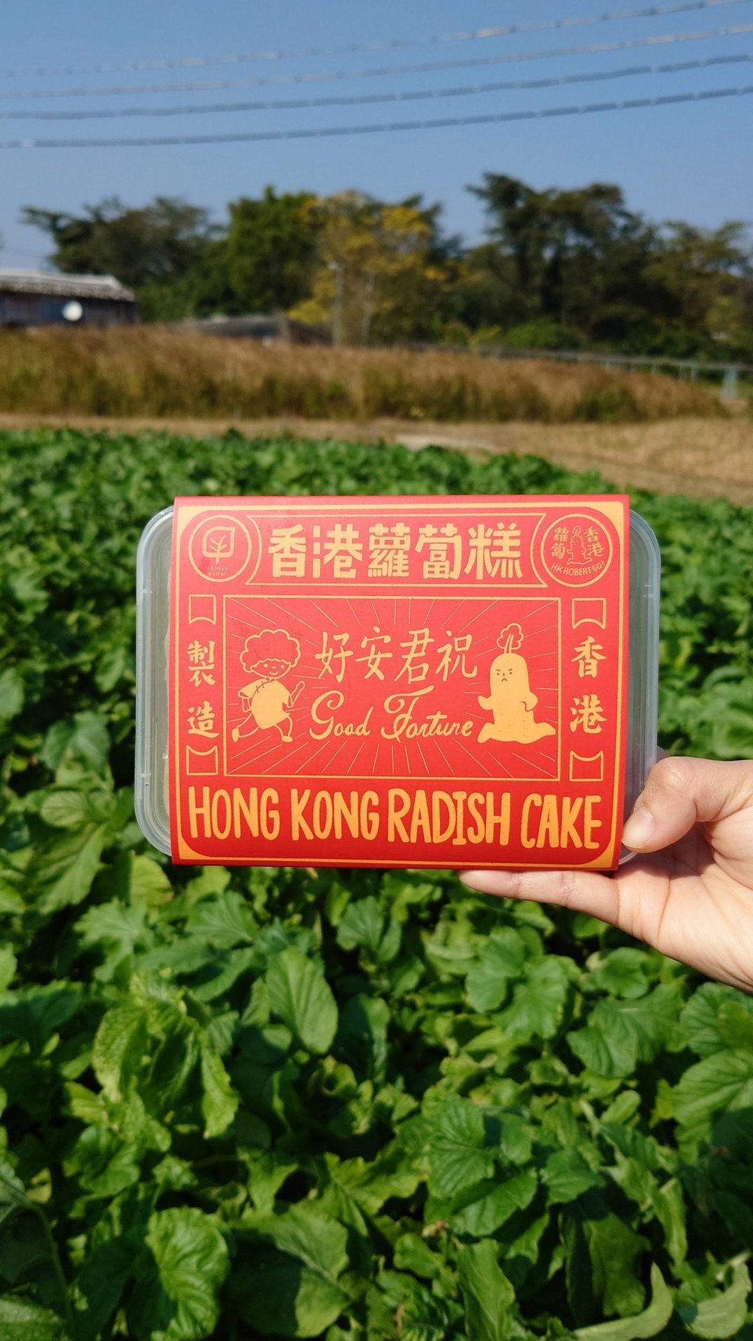 【贺年】素食香港萝卜糕 及 套装 - 其他 - 新鲜食材 白色