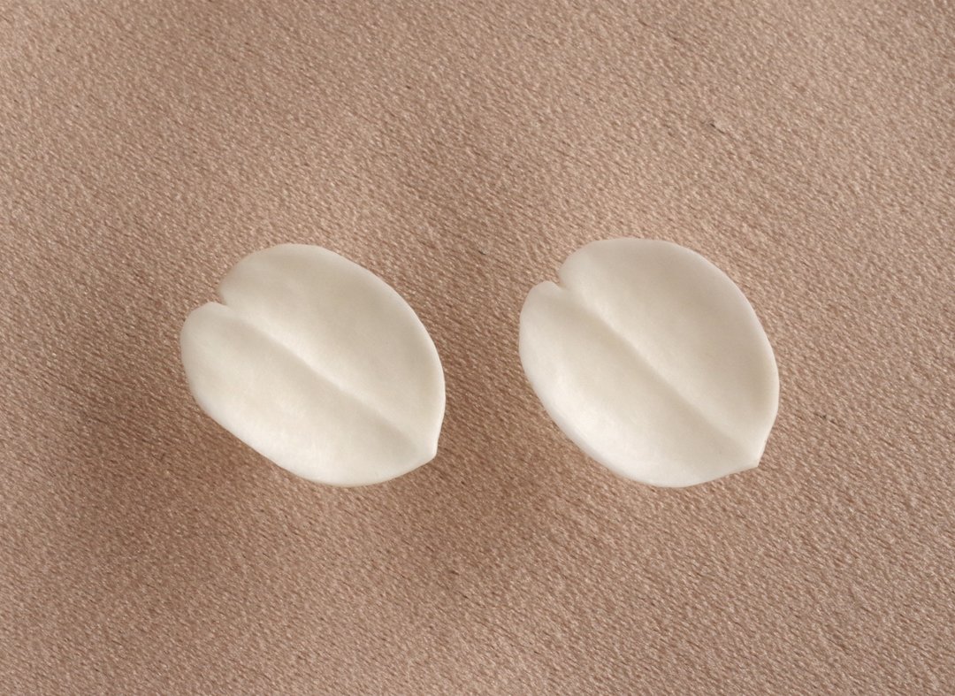 Antler Carving Petal - Stud Earrings, made-to-order - 耳环/耳夹 - 环保材料 白色