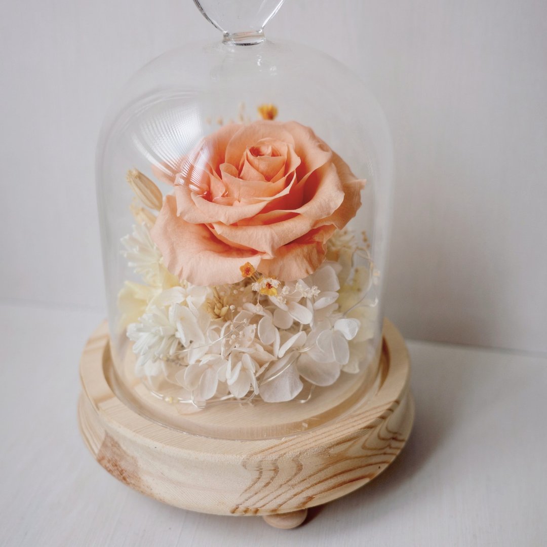 永生花罩盅 含灯  生日 l 周年 l 母亲节 l 庆祝 l 橘色系 - 干燥花/捧花 - 其他材质 