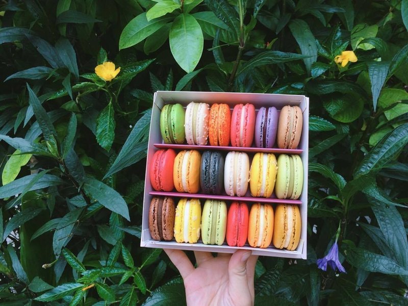 HERSTON 【18入马卡龙礼盒 】 - 蛋糕/甜点 - 其他材质 多色